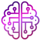 brain